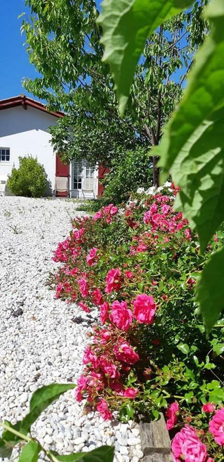 Hotel & Spa Harretchea, Cote Basque Ahetze Exterior foto